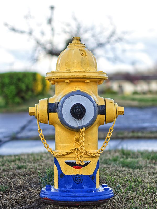 dorrell-tibbs-qwSp-4SvO68-unsplash